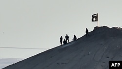 Alleged Islamic State (IS) militants stand next to an IS flag atop a hill in the Syrian town of Kobani in early October 7.