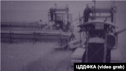 Сбор зерновых американскими комбайнами «Холт». Крым, 1930-е годы