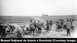 Sanitari la un exercițiu cu tărgi, Primul Război Mondial (Sursa: Expoziția Marele Război, 1914-1918, Muzeul Național de Istorie a României, http://www.marelerazboi.ro/razboi-catalog-obiecte/item/sanitari-la-un-exercitiu-cu-targi-in-