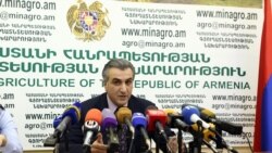 «Սպայկա»-ն անհատ ծիրան արտահանողների համար խոչընդոտներ չի ստեղծում․ գյուղնախարար