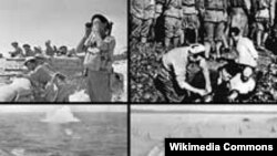Документальные свидетельства Второй Мировой войны