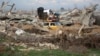 Gaza - Displaced Palestinians cross the Netzarim corridor as they make their way to the northern parts of the Gaza Strip on February 9, 2025. 