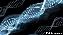 DNA structure