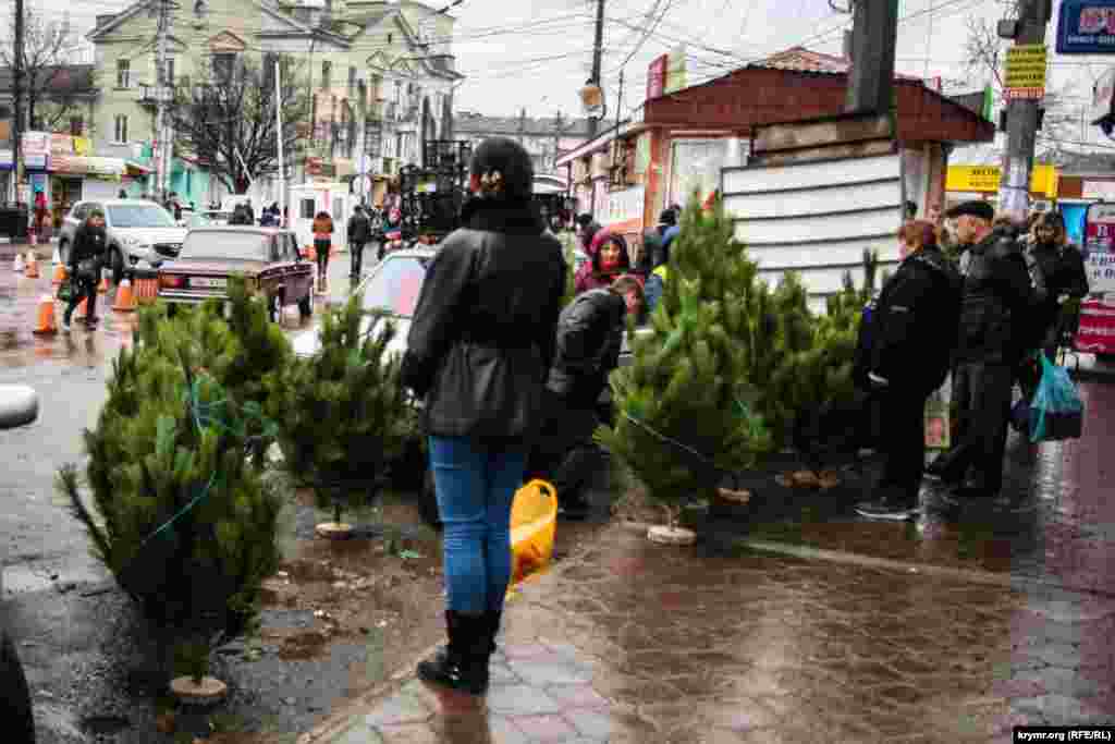 Задоволення це зараз не дешеве &ndash; чи то ялинка жива, чи штучна.