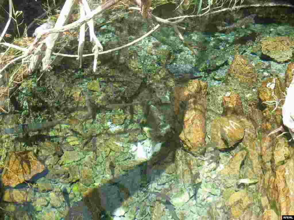 Зиёрати Чилучорчашма #36