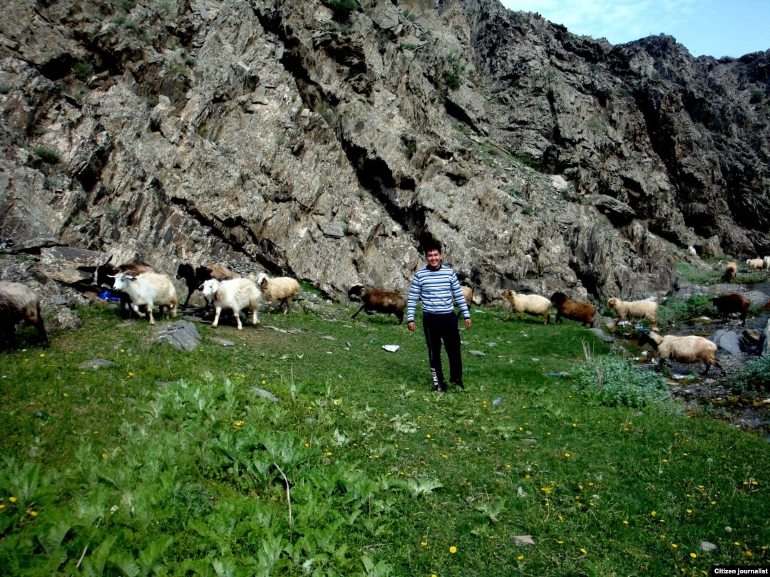 Бөкседегі имплантациялар