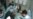 Syria: Dual Chemical Arms Claims