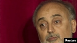 Ali Akbar Salehi