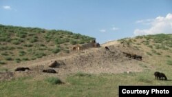 Суйритепа совет замонида муҳим археологик жой сифатида консервация қилинган. Сурат Uznewsnet сайтидан олинди.