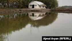 آرشیف