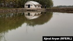ارشیف