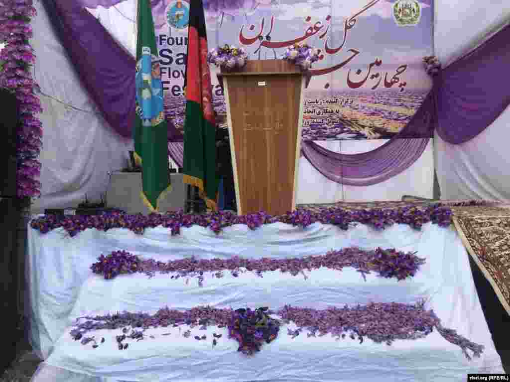 چهارمین جشنوارۀ گل زعفران در هرات برگزار شد 