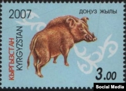 Доңуз жылы. 2007-жылы Кыргызстанда чыгарылган почтоо маркасы.
