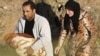 Түркия шекарасына кетіп бара жатқан сириялықтар. 12 қараша 2012 жыл.