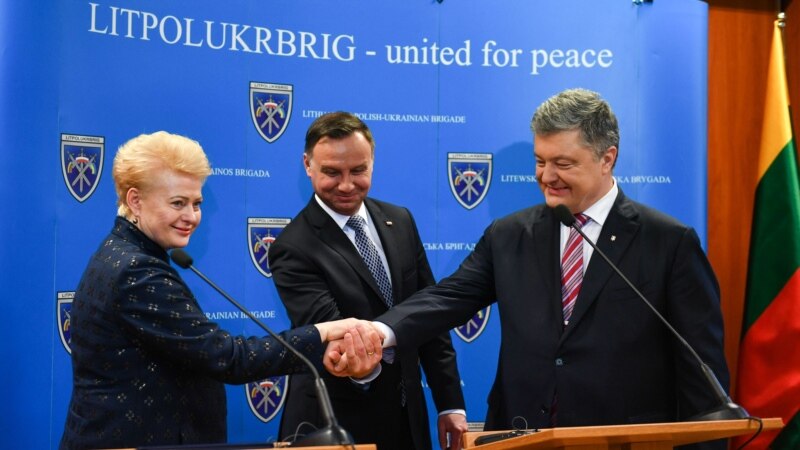 Президент Литвы: «Если Россия продолжит агрессивную политику возле Керчи, давление усилится»