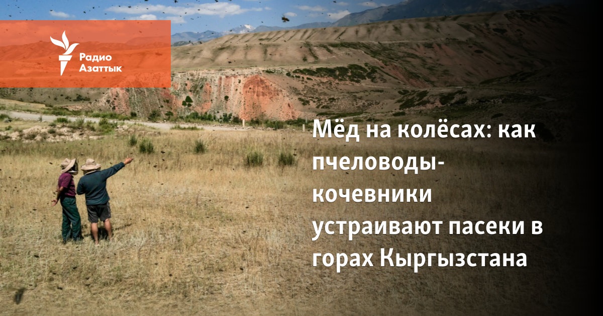 GIF ойыншықтары бар лесбиянкалар