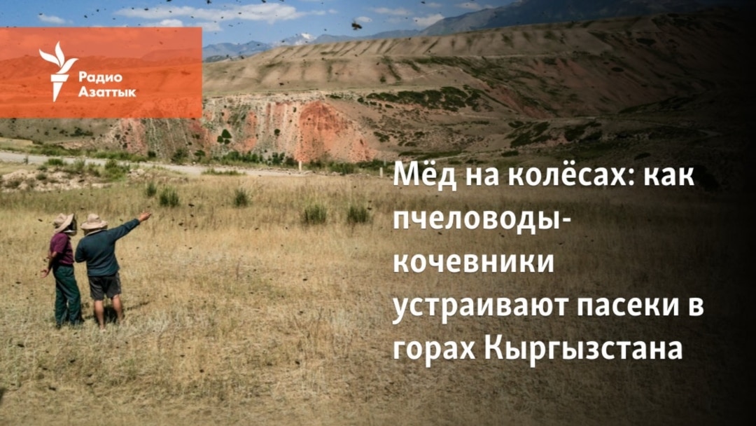 Үлкен сиськи бар кондуктор трахается