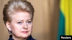 Lithuania's President Dalia Grybauskaite said the government of President Viktor Yanukovych had "lost credibility with the EU" when it refused to sign the Association Agreement at a summit in Vilnius.