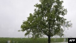 Збитки від повеней цього року сягають сотень мільйонів доларів