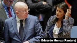 United States Ambassador to the United Nations Nikki Haley and Russian Ambassador to the United Nations Vasily Nebenzya are seen before the United Nations Security Council meeting.