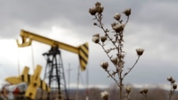 Экономическая среда: 2015-ый - в капле нефти