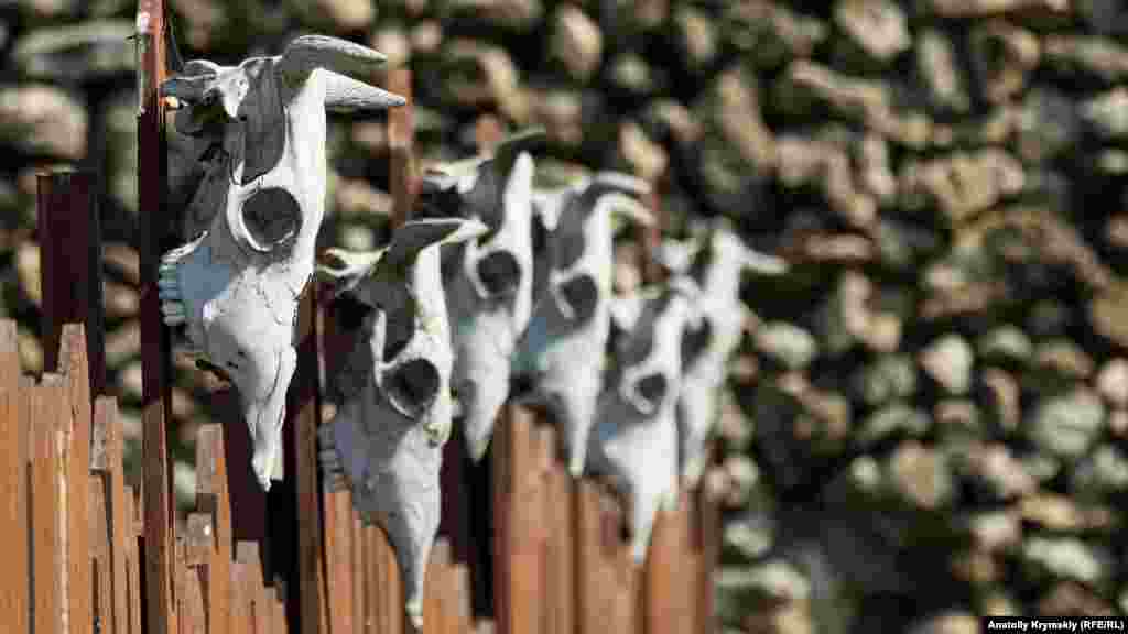 Коровьих черепов на деревянном заборе заповедника с каждым годом становится все больше. Для антуража, говорят в музее