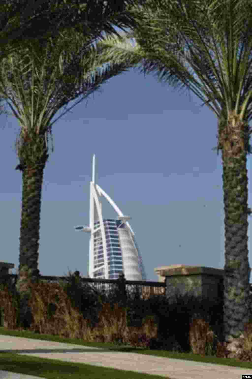 برج العرب در میان نخل ها