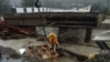 Наводнение на Кубани: разрушен мост, подтоплены дома, есть погибшие