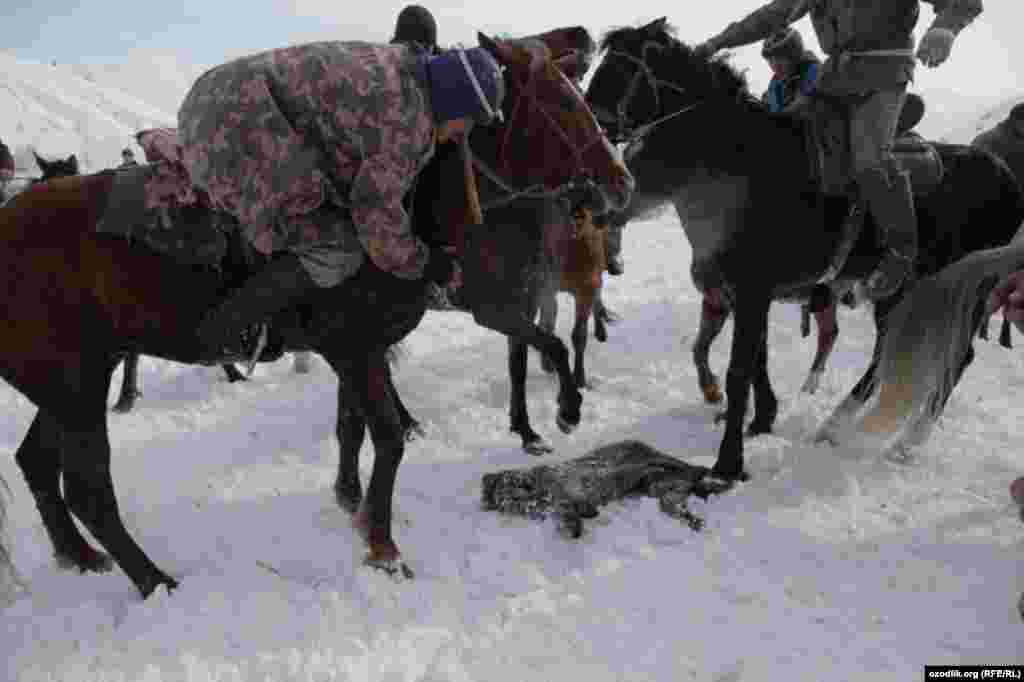 A sheep carcass must be taken to a marked-out circle.