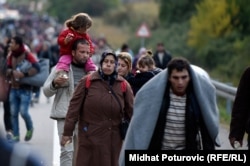 Menekültek gyalogolnak a magyar határ felé a horvátországi Botovo közelében 2015 októberében