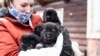Спасенные щенки в Петрозаводске