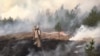 У Житомирській області затримали двох чоловіків, які спричинили лісову пожежу