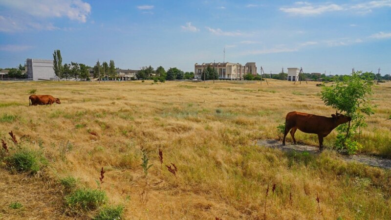 Власти Крыма решили отдать в «бессрочное пользование» 19 га земли под Ялтой институту «Магарач»