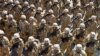 «افزایش چشمگیر» بودجه سپاه، ارتش و نیروی انتظامی در بودجه ۹۳