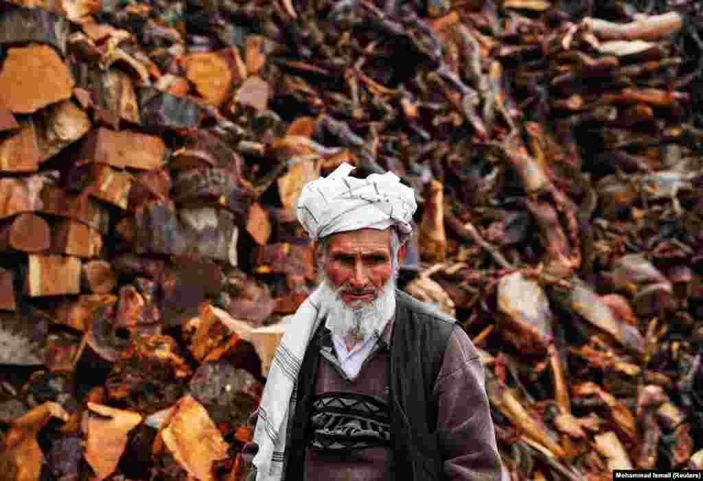 An Afghan vendor waits for customers at his firewood stall in Kabul. (Reuters/Mohammad Ismail)