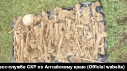 Останки, найденные на Алтае
