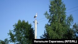 ФОТА ДНЯ: в. Чабусы. Любанскі р-н, Менская вобл. Натальля Сарагавец