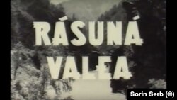 „Răsună valea”(1950), unul dintre primele filme de propagandă comunistă. Printre actori se remarcă Radu Beligan, reprezentantul caricatural al clasei burghezo-intelectuale decadente.