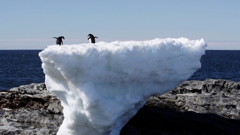 Антарктиданын муз аянты болуп көрбөгөндөй азайды