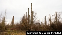 Из жизни крымского села: почему увядает Крымская Роза (фотогалерея)