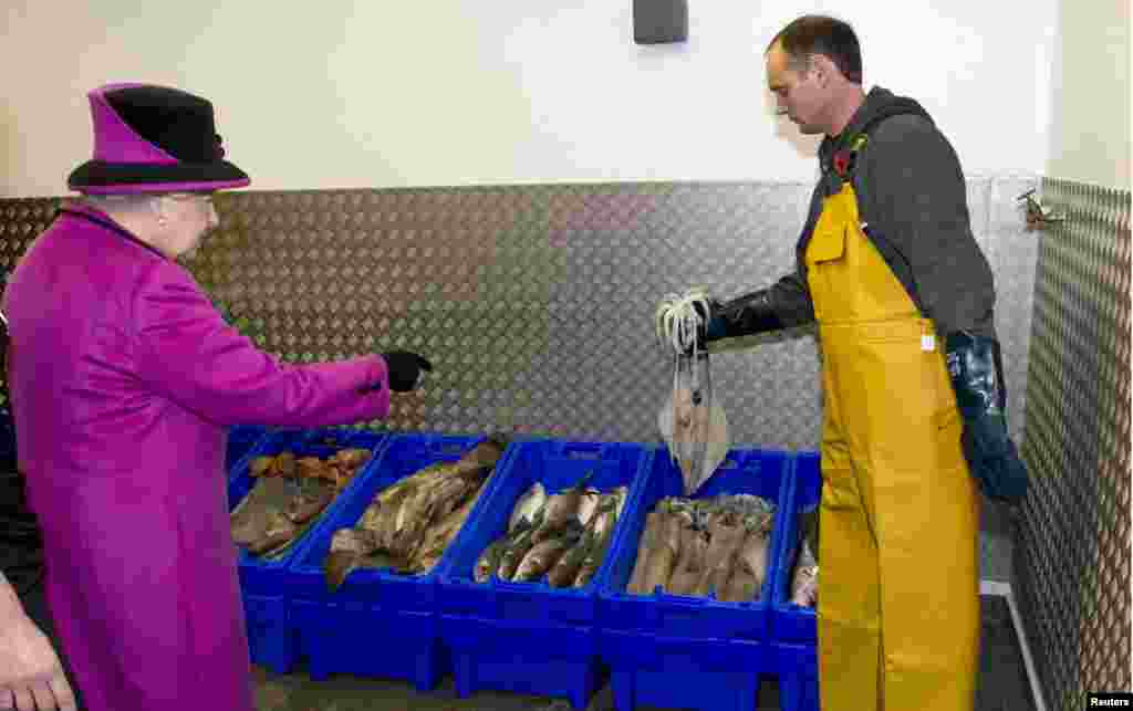 Елизавета Вторая на рыбном рынке в Сассексе. 31 октября 2013 года.&nbsp;