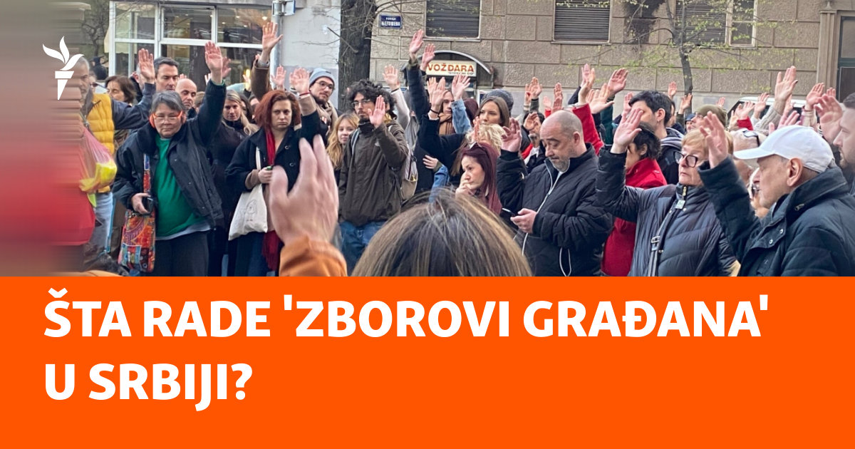 Šta rade 'zborovi građana' u Srbiji?