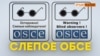 Крымский скандал в ОБСЕ (видео)
