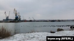 Керченский рыбный порт