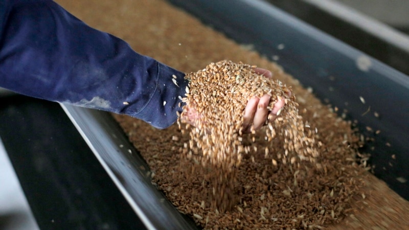 Сейм Латвии запретил импорт сельхозпродуктов из России и Беларуси