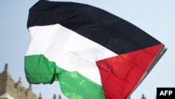 Պաղեստինի դրոշը