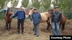 Кыргыз жылкысын өстүргөн мургабдык кыргыздар