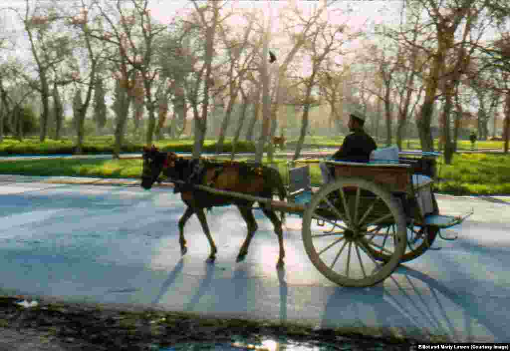 A horse-drawn cart that served as a kind of taxi in Jalalabad.&nbsp;