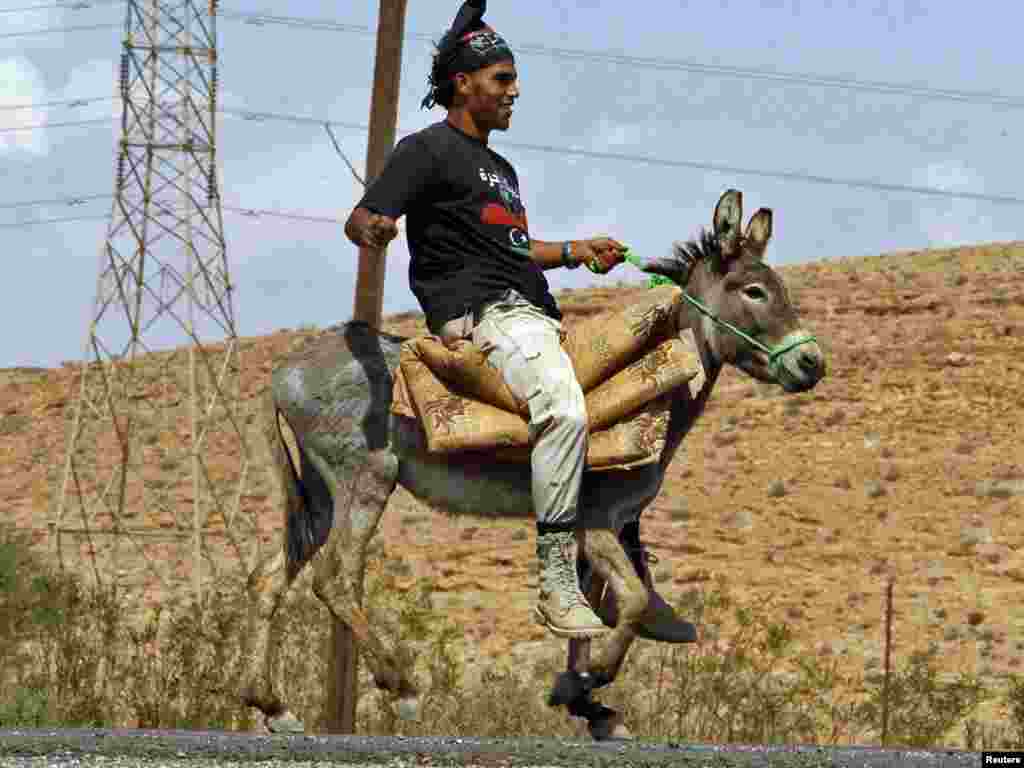 A Libyan National Transitional Council fighter rides a donkey at a checkpoint near Bani Walid on September 29. (REUTERS/Saad Salash)