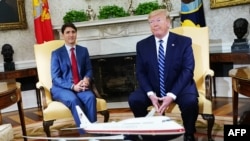 جاستین ترودو، نخست‌وزیر کانادا در دیدار با ترامپ از لزوم همراهی جهانی برای یافتن راه‌حل خروج از بحران سخن گفته است